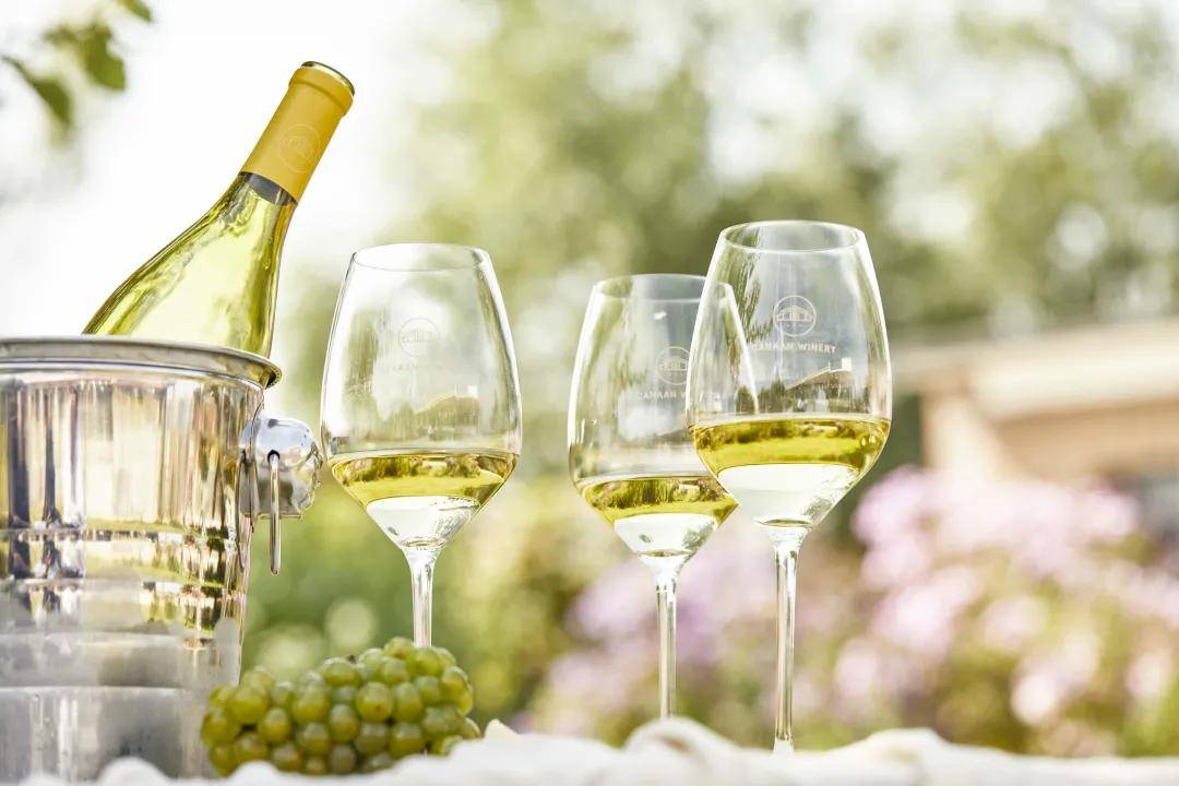 公众|参观预约程序怎么制作——酒庄参观预约公众号操作指南