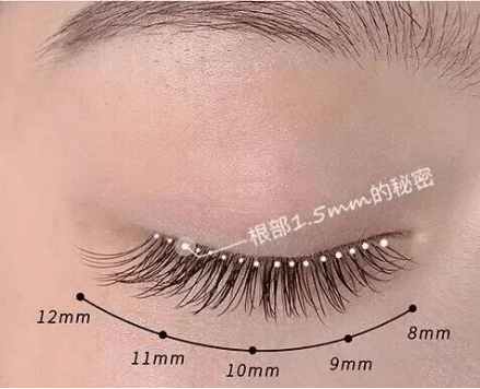能力|美睫师盲目追求速度，是对是错？聚亿美告诉你答案