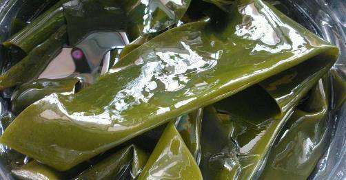 怎样快速泡海带又烂又软 6d221c10a8404a83a86f3583f5258c02.jpeg