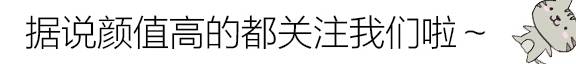 异国|加菲猫傻傻惹人爱？异国短毛猫了解一下？