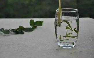 福鼎|福鼎白茶五大品牌高档,你购买了吗?