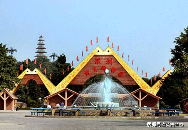 深圳这座动物园比肩广州长隆，占地2000多亩，特色是“放养式”