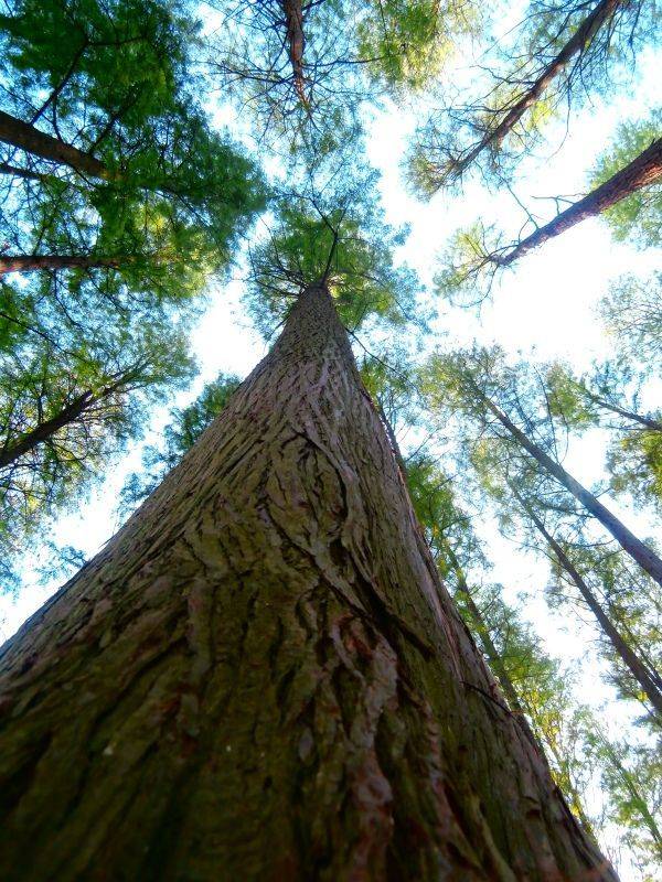 原创自然灾害对人类的影响宋小金原创文学