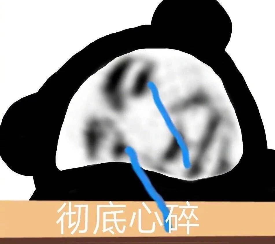 d51566c8be644e3c9fd8515201257358.jpeg