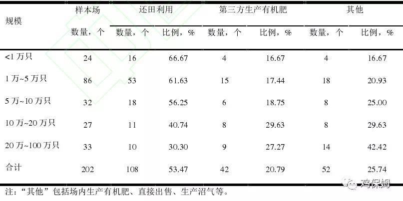蛋和鸡简谱_小鸡简笔画(3)