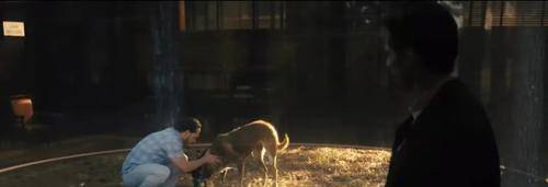 尼克·班尼斯特|《追忆迷局》扑街！开场领盒饭，吴彦祖都救不了的大烂片