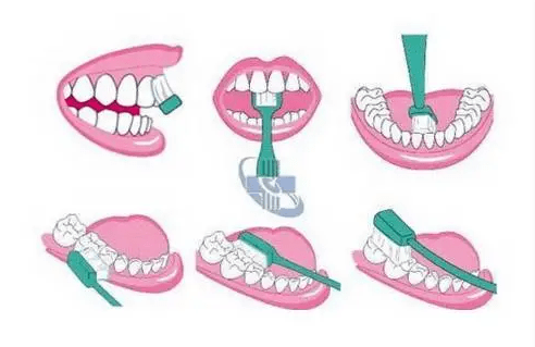 因为|早上起来后,先吃早餐还是先刷牙?告诉你答案!