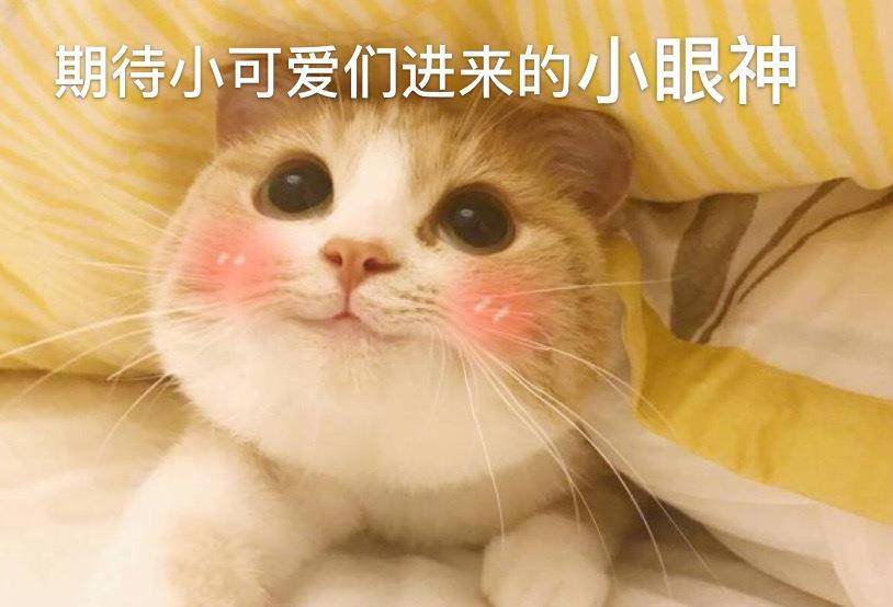 色调|霸屏的初秋最热露腿装，杨幂宋茜长款上衣搭配高腰短裤，帅翻全场