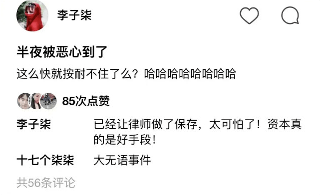 李子柒半夜發文「太可怕了，資本真的是好手段」，其團隊已向警察局報備 娛樂 第10張