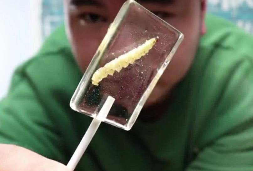 图片|小哥试吃“昆虫棒棒糖”，没想到入口是咸的，一根还要20元！