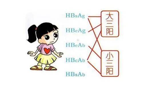 治愈|大三阳和小三阳，谁更严重？