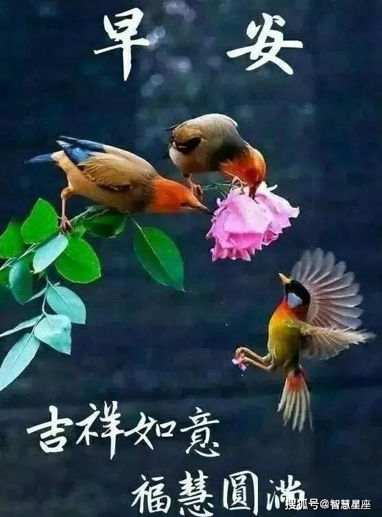 八月三十号早上祝福语 5a98732cde4743668953444d8a45db6e.jpeg