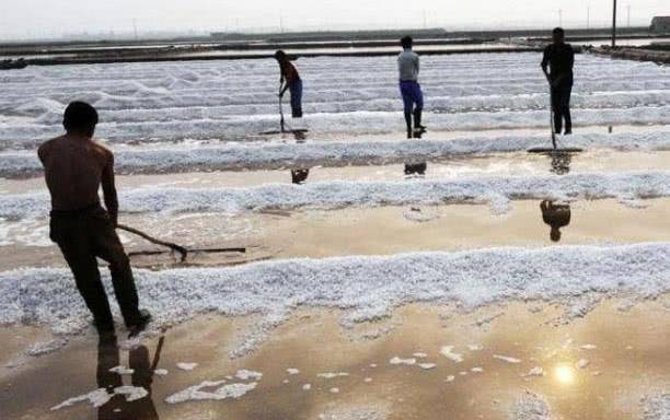 什么|用脚“踩”出来的3种食物，葡萄酒上榜，图三你天天吃