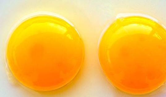 饮食|得了肾病还能不能吃鸡蛋？两个细节你了解吗？