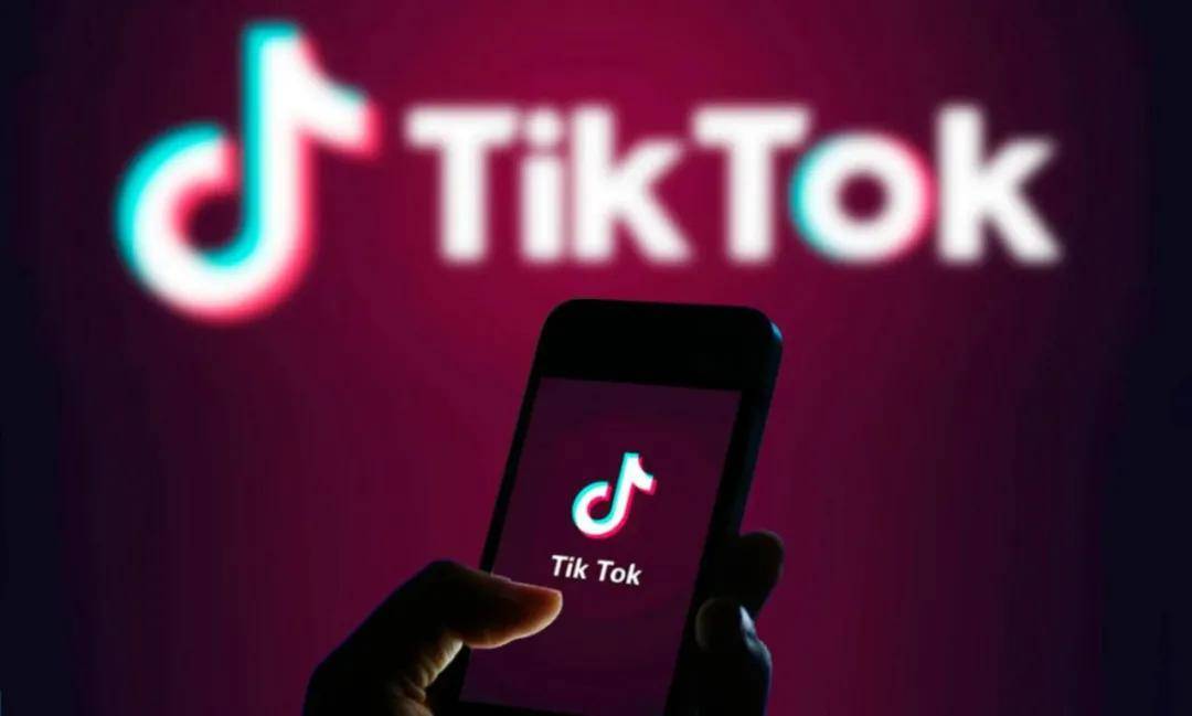 The|谁是TikTok上最受欢迎的美妆品牌？