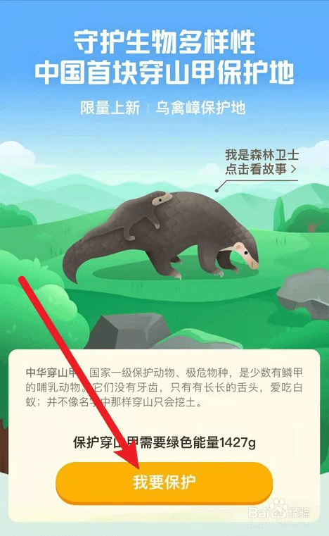 为何捕杀穿山甲如此猖獗？16000只8吨鳞片，暴利下隐藏怎样的危机