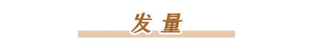 发型|你适合什么样的短发？该如何搭配秋装？