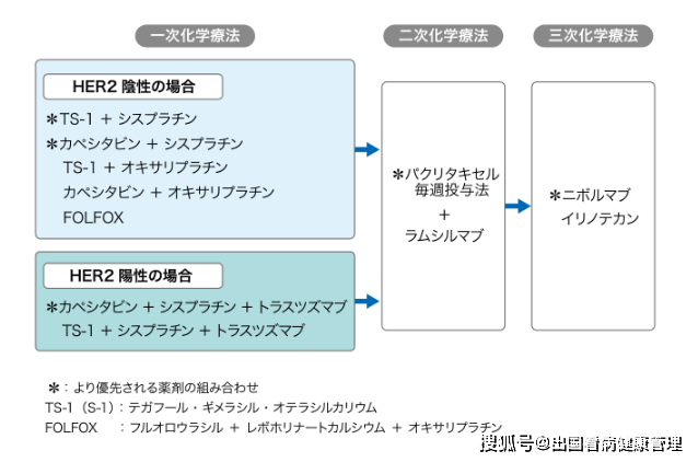 日本胃癌药物治疗哪种效果好 化疗 靶向 免疫选哪个 患者