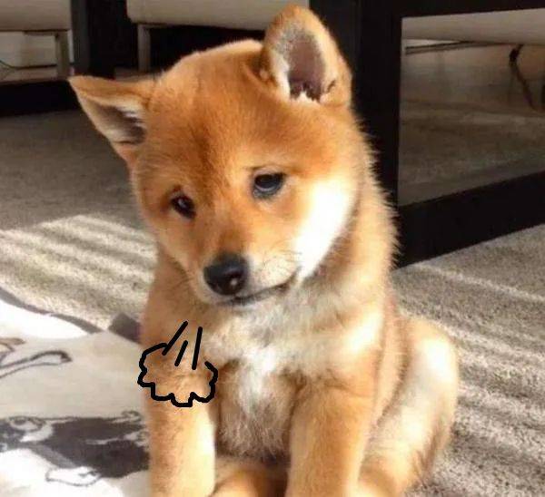 张力|五官C位可不能随便动,鼻综合也不是人人适合!