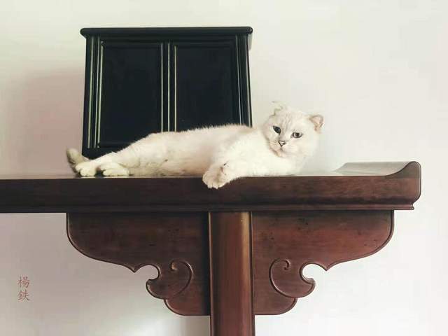 文化|楊鉄先生的作品，明清迥异，谁更具收藏价值？