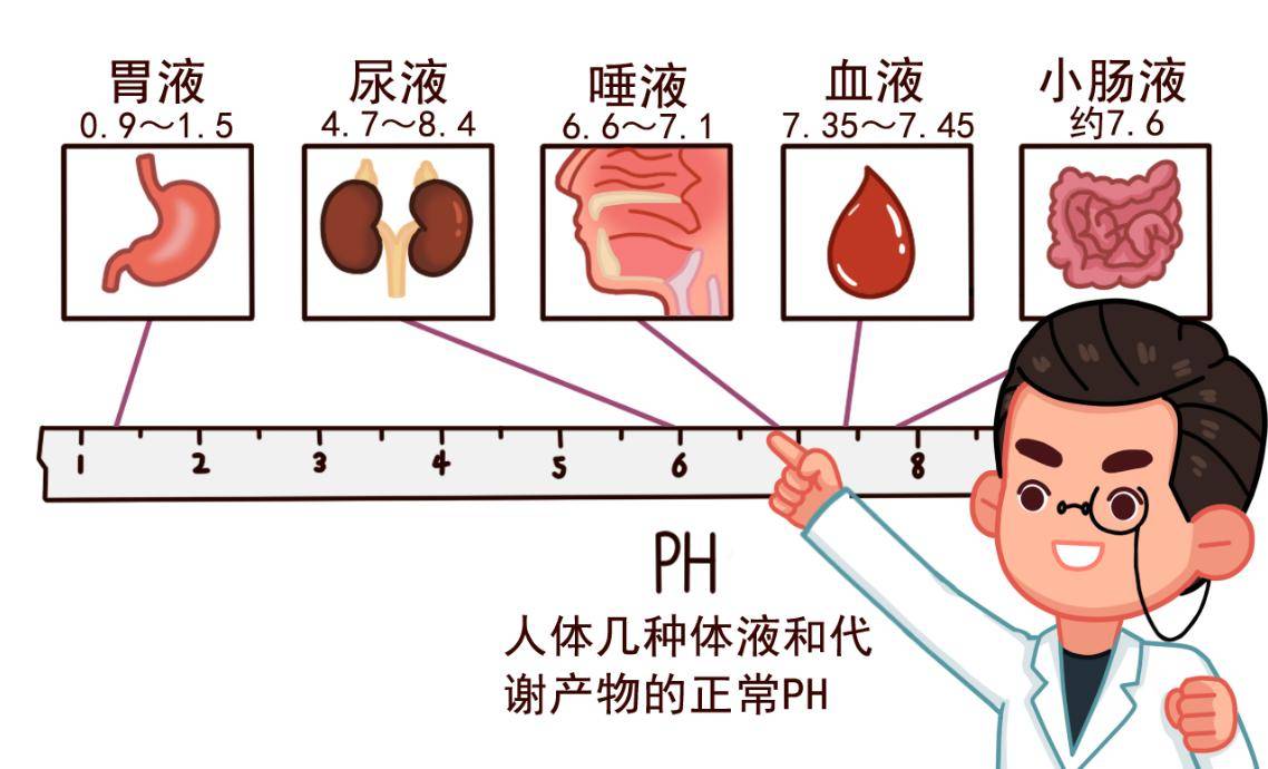 物质|葡萄酒含那么多酸性物质，为什么称为碱性饮品