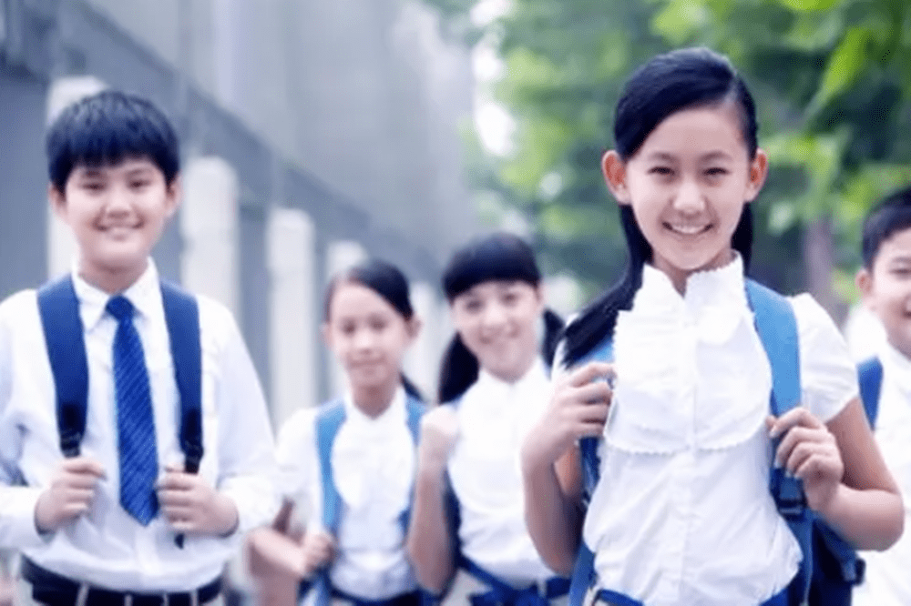 风险承受能力|想变富，“少生孩子多种树”早已过时，“多生优育”才是正道