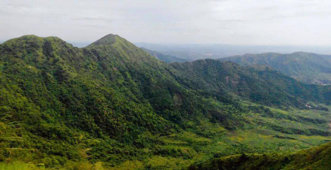 品牌|壮乡水业：水深鱼大，未来可期 | 论道网专访