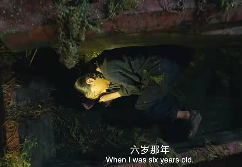 什么|《黑木林》这部被高估了恐怖，低估了人性的电影，活该突破一个亿