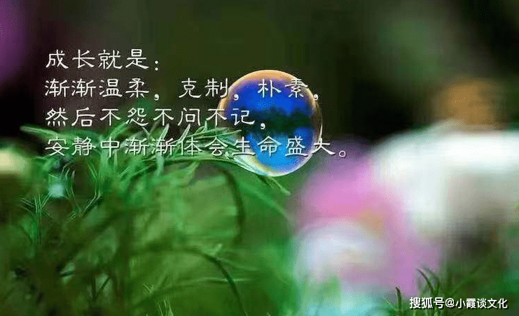 8135d123c6f04728b27729b4c567c16a.png