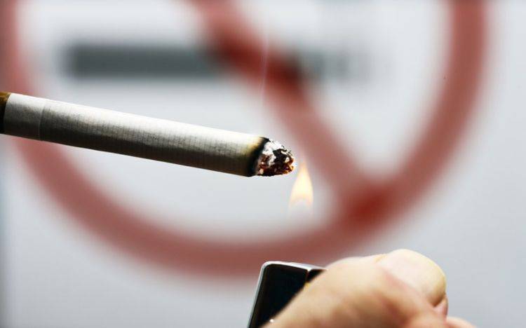 甘蔗|此类不起眼的零食，可能影响好细胞，不妨提前了解一下