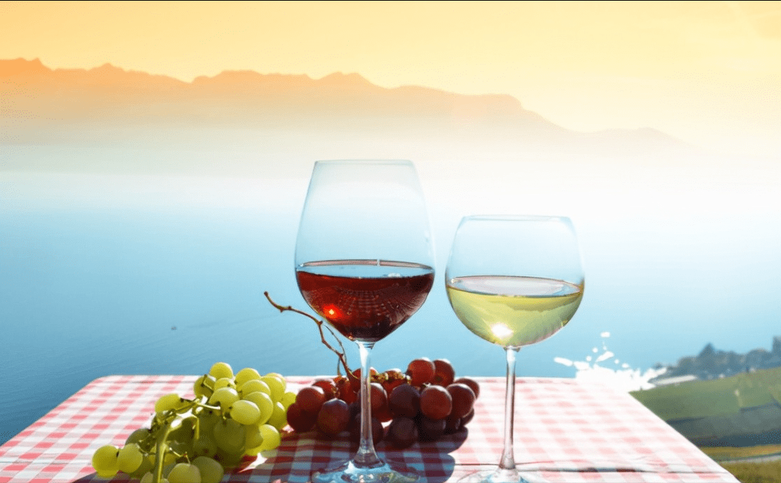 老酒|红酒知识 | 关于葡萄酒品鉴的先后顺序，你了解多少？