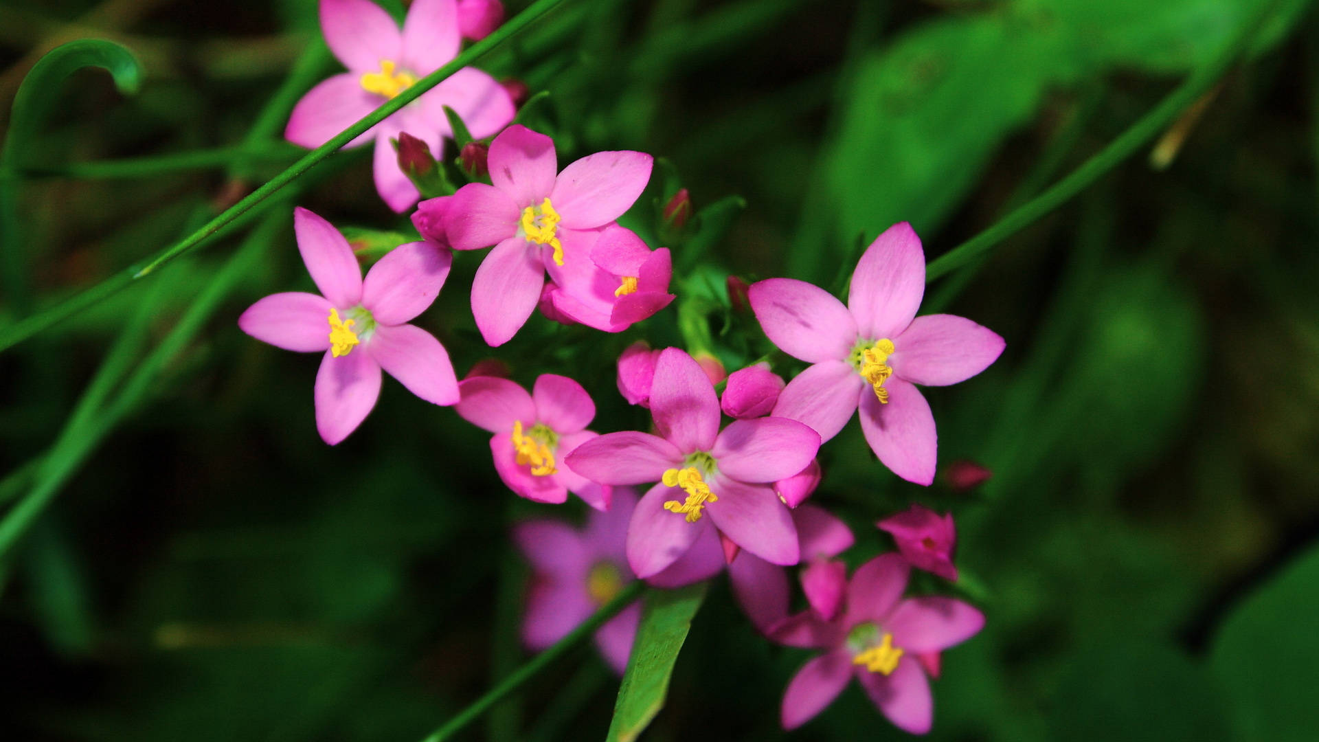 原创9月7日星座运势:把握机会,乘胜追击的四大星座