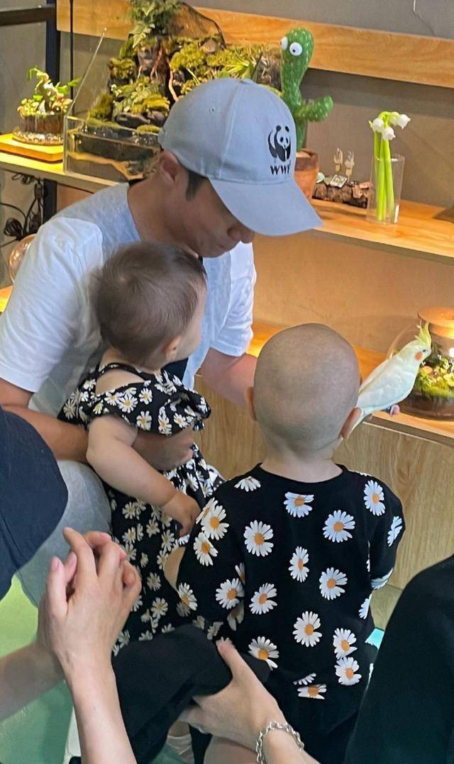 光头|与撒贝宁一家偶遇,龙凤胎儿子首次光头亮相,穿雏菊装胖到没脖子