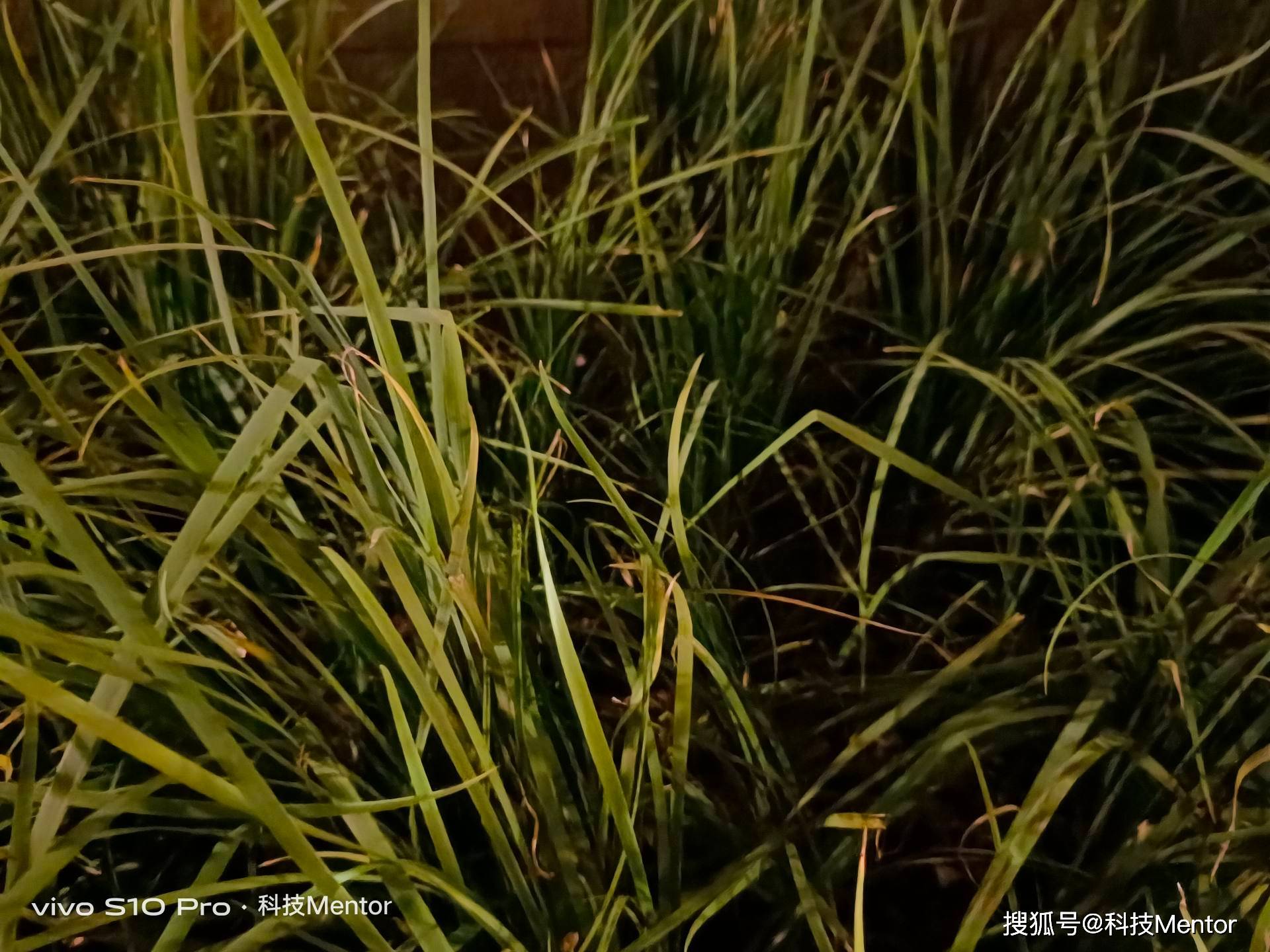 自拍|vivo S10 Pro上手评测：一款将轻薄与自拍做到极致的手机