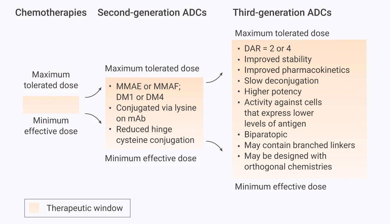 治疗|靶向抗体偶联药物 (ADC)——抗肿瘤 | MedChemExpress