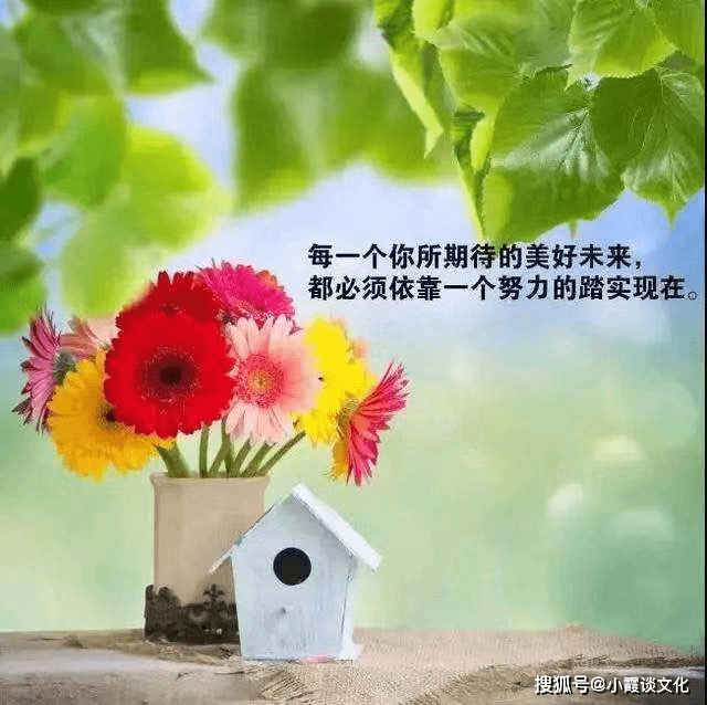 c411f8cfa1c24f6e9fb79d44766b23e2.png