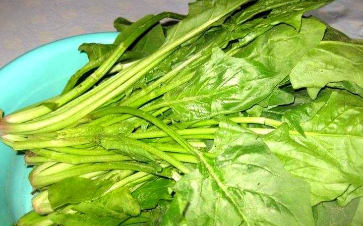 什么菜通便效果最好 c8084224ad0d43278148d113f304afb1.jpeg