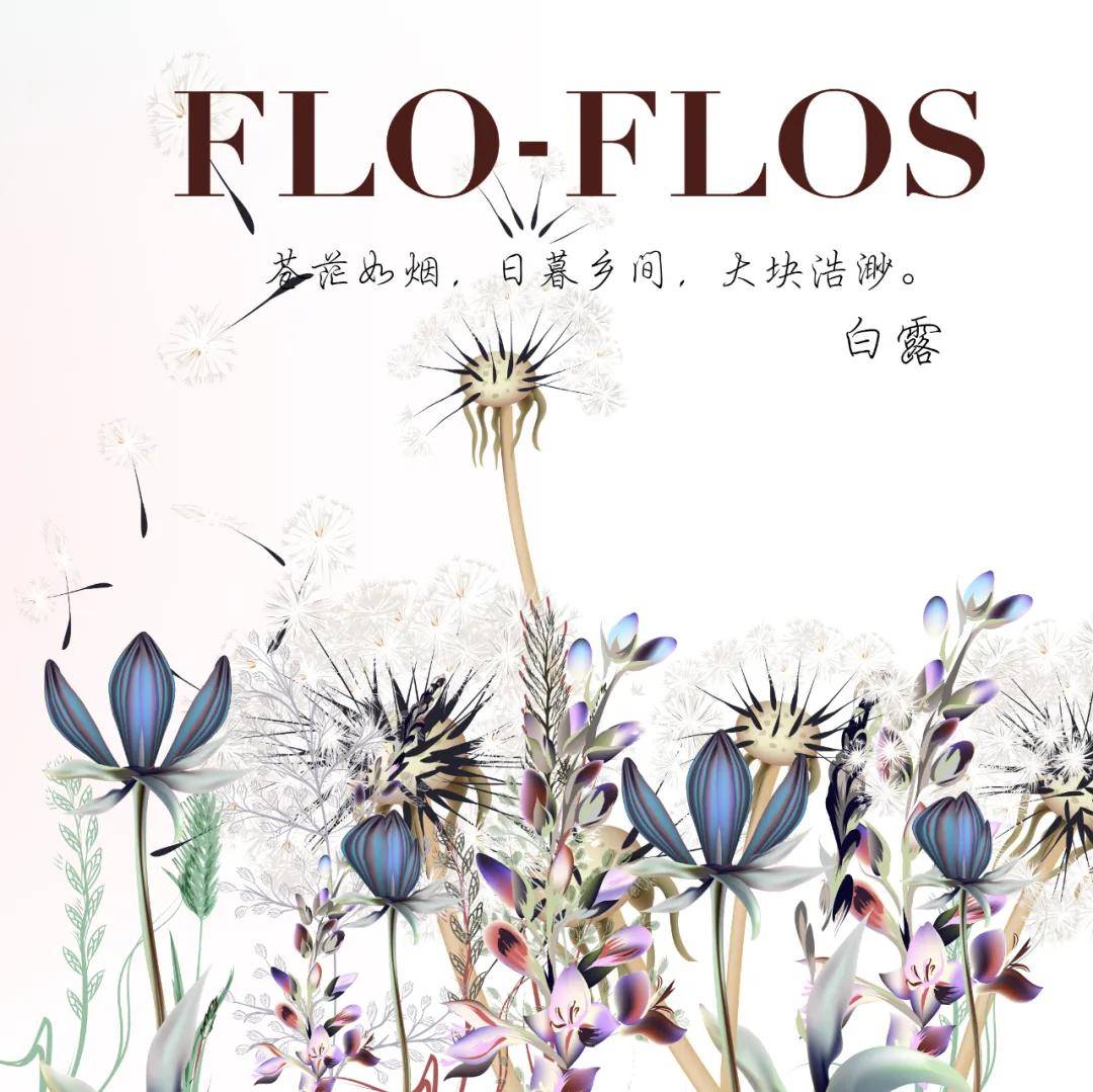 设计界|白露|这才是最美月份的打开方式
