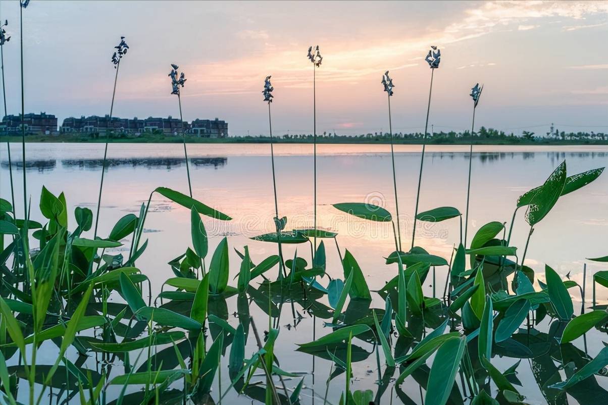 内痔|明明痔疮克星就在家门口，为何还四处找偏方？