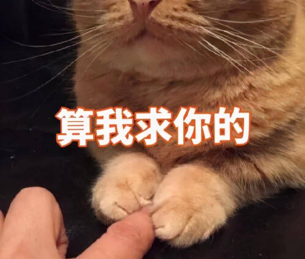 身材|微胖女生别再被阔腿裤骗了!穿错显胖更显矮!