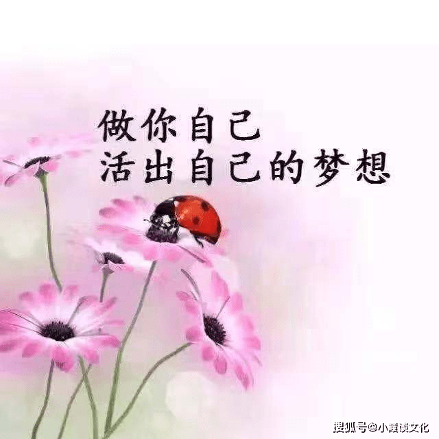 怎么才能让自己快乐不胡思乱想 7e7b678e662e42e0a52357c56f895f3d.png