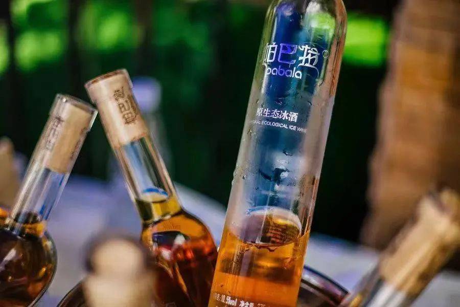 国产|百馥访谈,本期嘉宾马钊|WSET四级名师眼中的国产葡萄酒