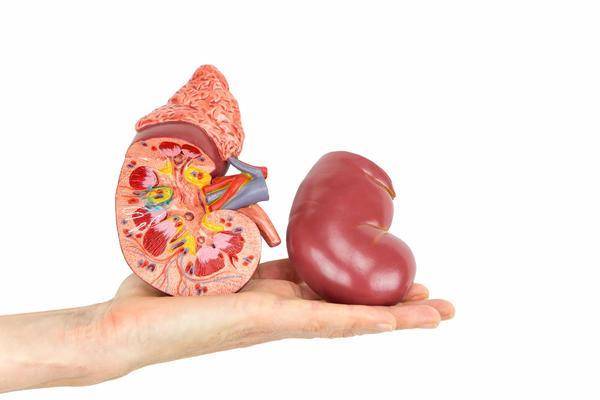 治疗|得了肾病的人,若没有重视起来,可能会引发这5大并发症,需重视