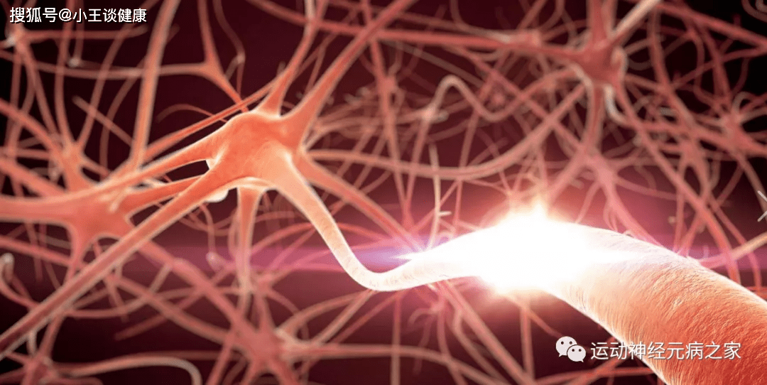 科普|运动神经元是什么？（定向科普）