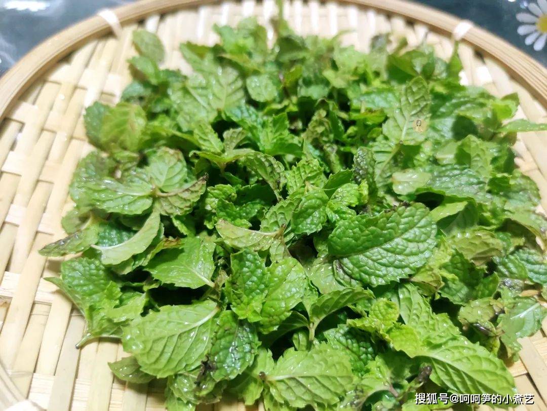 薄荷|新鲜的薄荷吃不完，教你做成薄荷茶，方法简单好储存，可以喝一年