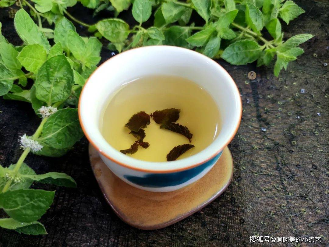 薄荷|新鲜的薄荷吃不完，教你做成薄荷茶，方法简单好储存，可以喝一年