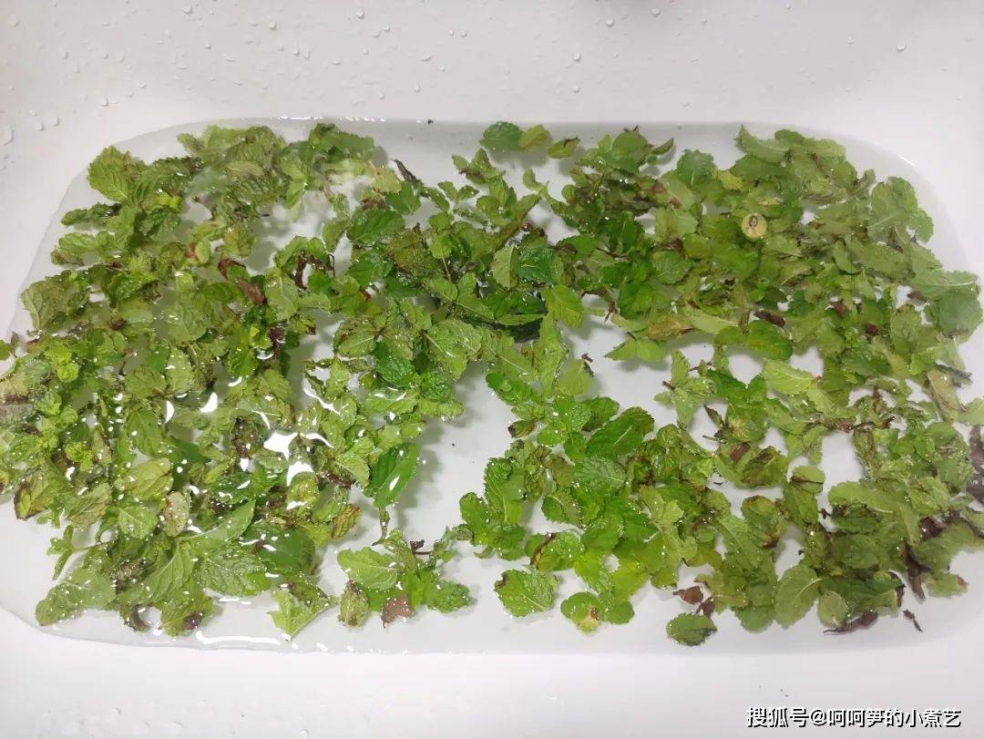 薄荷|新鲜的薄荷吃不完，教你做成薄荷茶，方法简单好储存，可以喝一年