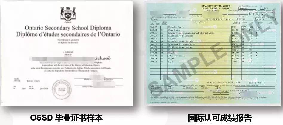 英国大学已发出警告：小心申请英国本科的假文凭