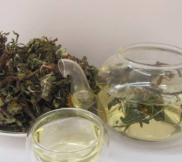 婆婆丁功效作用 49d96c004fa640e7900f1079444c0701.jpeg