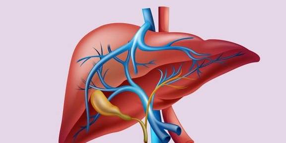 肝脏|假如你有乙肝，可能会问：肝硬化能“逆转”吗？听听医生怎么说！